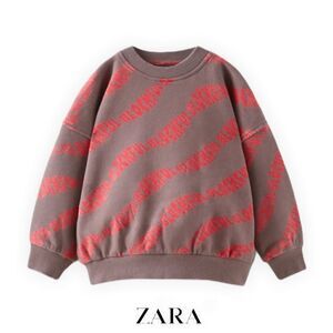 ZARA Kids | Dark Brown | SWEATSHIRT WITH TEXT